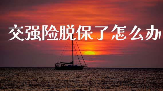 交强险脱保了怎么办_https://wap.lcjysmgs.com_金融交易_第1张