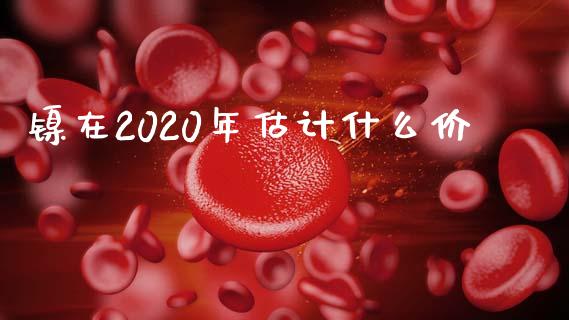 镍在2020年估计什么价_https://wap.lcjysmgs.com_元宇宙_第1张