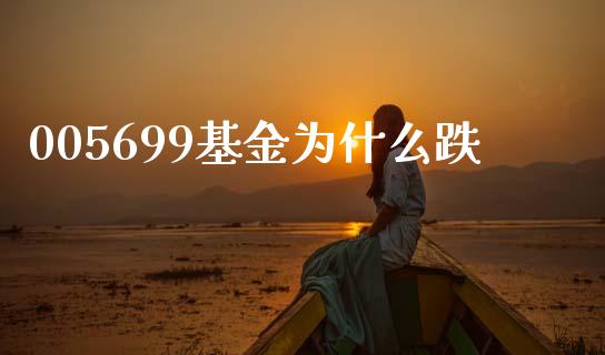 005699基金为什么跌_https://wap.lcjysmgs.com_元宇宙_第1张