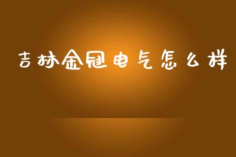 吉林金冠电气怎么样_https://wap.lcjysmgs.com_原油期货_第1张