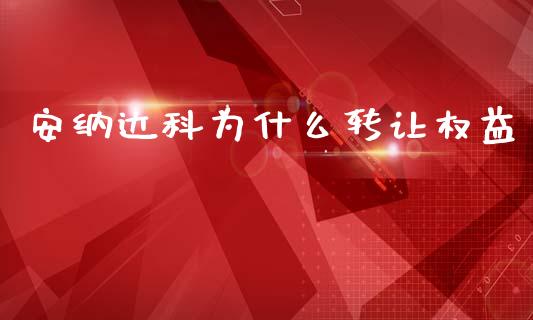 安纳达科为什么转让权益_https://wap.lcjysmgs.com_元宇宙_第1张