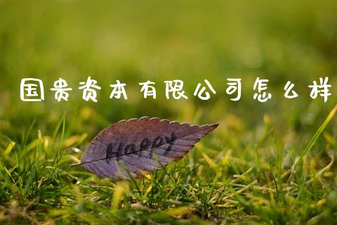 国贵资本有限公司怎么样_https://wap.lcjysmgs.com_元宇宙_第1张