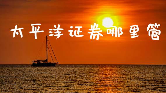 太平洋证券哪里管_https://wap.lcjysmgs.com_原油期货_第1张