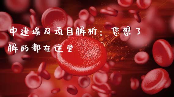 中建埃及项目解析:您想了解的都在这里_债券基金_第1张_金融交易_元宇宙_原油期货_债券基金 中建埃及项目解析:您想了解的都在这里_https://wap.lcjysmgs.com_债券基金_第1张
