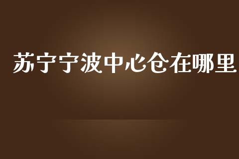 苏宁宁波中心仓在哪里_https://wap.lcjysmgs.com_原油期货_第1张