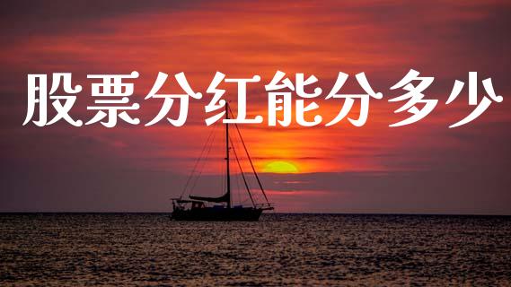 股票分红能分多少_https://wap.lcjysmgs.com_债券基金_第1张