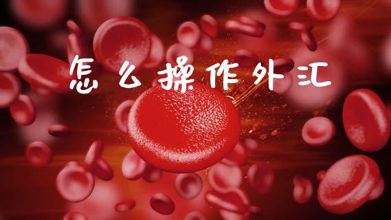 怎么操作外汇_https://wap.lcjysmgs.com_元宇宙_第1张
