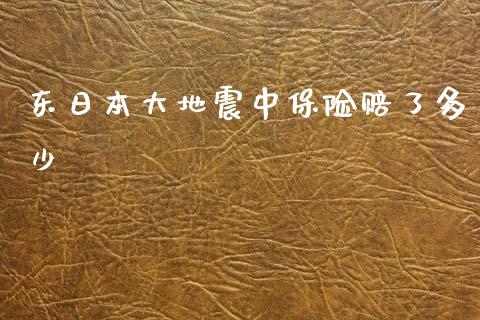 东日本大地震中保险赔了多少_https://wap.lcjysmgs.com_元宇宙_第1张