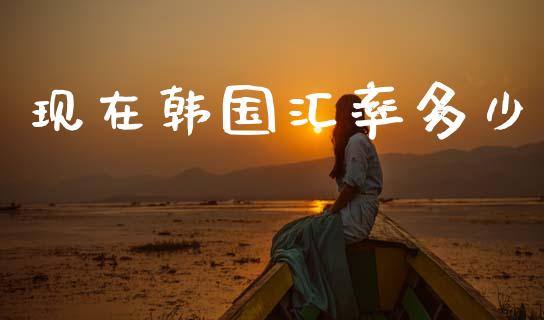 现在韩国汇率多少_https://wap.lcjysmgs.com_元宇宙_第1张