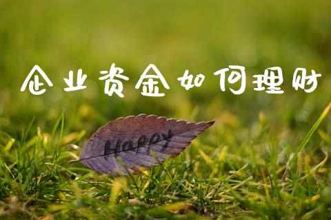 企业资金如何理财_https://wap.lcjysmgs.com_债券基金_第1张