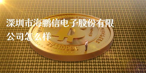 深圳市海鹏信电子股份有限公司怎么样_https://wap.lcjysmgs.com_元宇宙_第1张