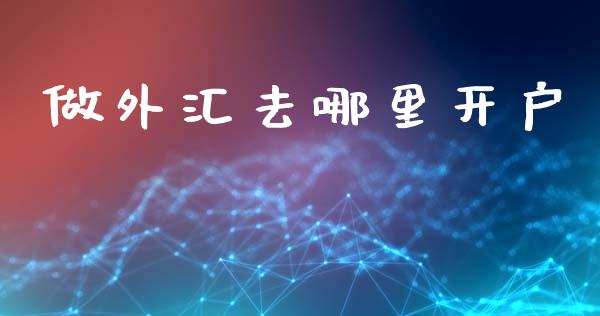 做外汇去哪里开户_https://wap.lcjysmgs.com_元宇宙_第1张