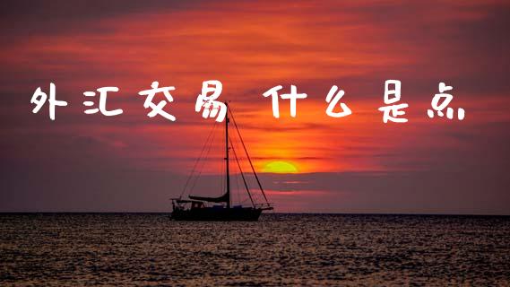 外汇交易 什么是点_https://wap.lcjysmgs.com_金融交易_第1张