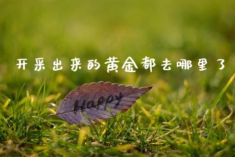 开采出来的黄金都去哪里了_https://wap.lcjysmgs.com_债券基金_第1张