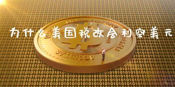 为什么美国税改会利空美元_https://wap.lcjysmgs.com_原油期货_第1张