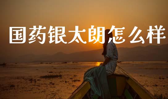 国药银太朗怎么样_https://wap.lcjysmgs.com_元宇宙_第1张