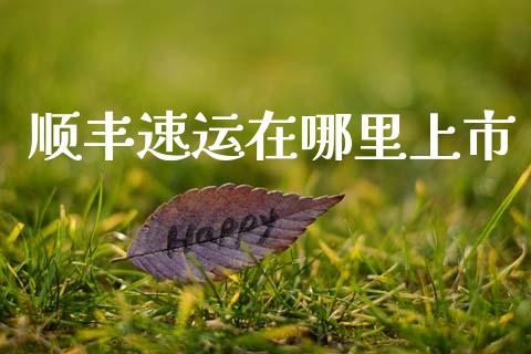 顺丰速运在哪里上市_https://wap.lcjysmgs.com_债券基金_第1张