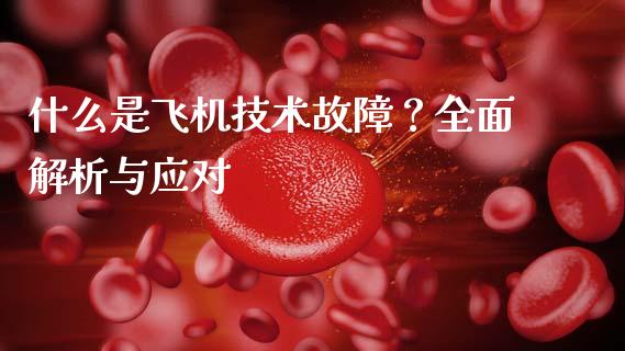 什么是飞机技术故障？全面解析与应对_https://wap.lcjysmgs.com_债券基金_第1张