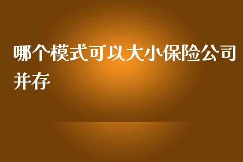 哪个模式可以大小保险公司并存_https://wap.lcjysmgs.com_元宇宙_第1张