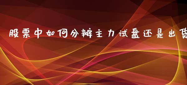 股票中如何分辨主力试盘还是出货_https://wap.lcjysmgs.com_债券基金_第1张