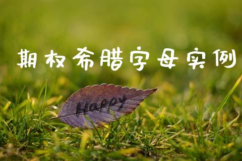 期权希腊字母实例_https://wap.lcjysmgs.com_债券基金_第1张