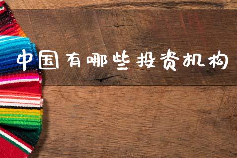 中国有哪些投资机构_https://wap.lcjysmgs.com_金融交易_第1张