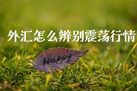 外汇怎么辨别震荡行情_https://wap.lcjysmgs.com_债券基金_第1张