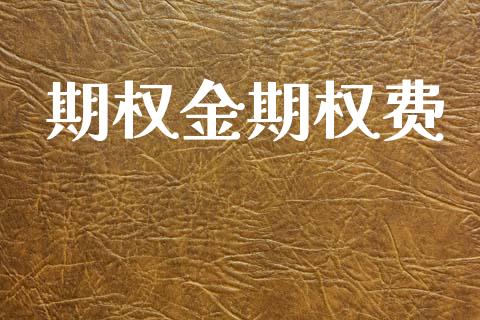 期权金期权费_https://wap.lcjysmgs.com_原油期货_第1张