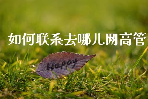 如何联系去哪儿网高管_元宇宙_第1张_金融交易_元宇宙_原油期货_债券基金 如何联系去哪儿网高管_https://wap.lcjysmgs.com_元宇宙_第1张