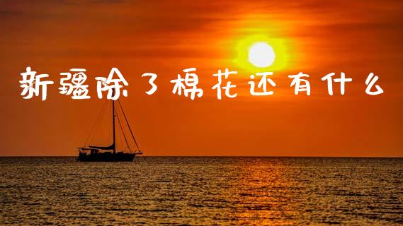 新疆除了棉花还有什么_原油期货_第1张_金融交易_元宇宙_原油期货_债券基金 新疆除了棉花还有什么_https://wap.lcjysmgs.com_原油期货_第1张