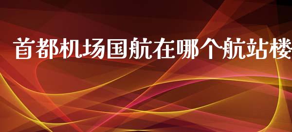 首都机场国航在哪个航站楼_https://wap.lcjysmgs.com_债券基金_第1张