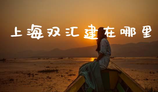 上海双汇建在哪里_https://wap.lcjysmgs.com_元宇宙_第1张
