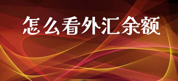 怎么看外汇余额_https://wap.lcjysmgs.com_原油期货_第1张