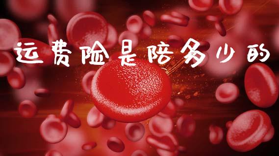 运费险是陪多少的_https://wap.lcjysmgs.com_原油期货_第1张