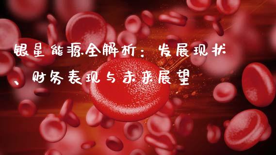 银星能源全解析：发展现状、财务表现与未来展望_https://wap.lcjysmgs.com_元宇宙_第1张