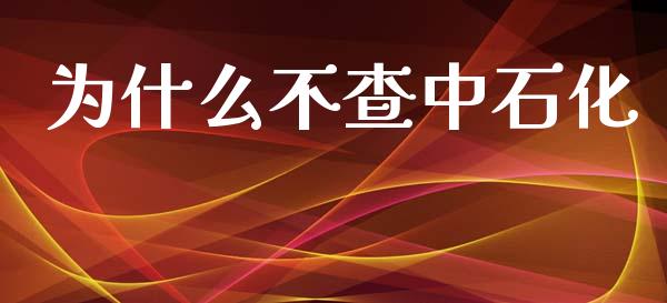 为什么不查中石化_https://wap.lcjysmgs.com_债券基金_第1张