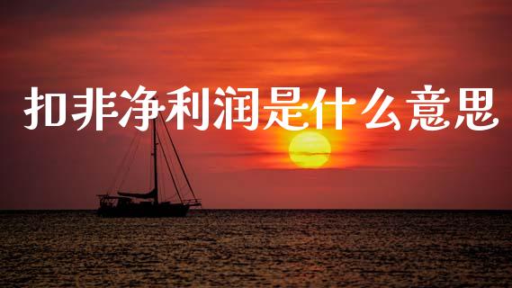 扣非净利润是什么意思_https://wap.lcjysmgs.com_原油期货_第1张