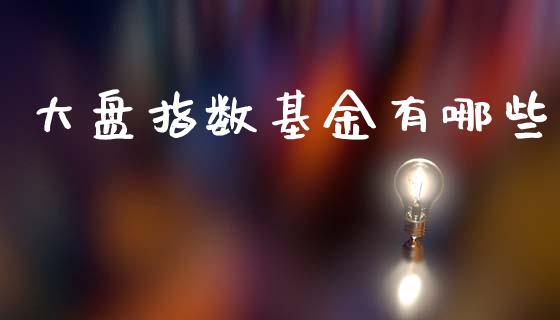 大盘指数基金有哪些_https://wap.lcjysmgs.com_原油期货_第1张