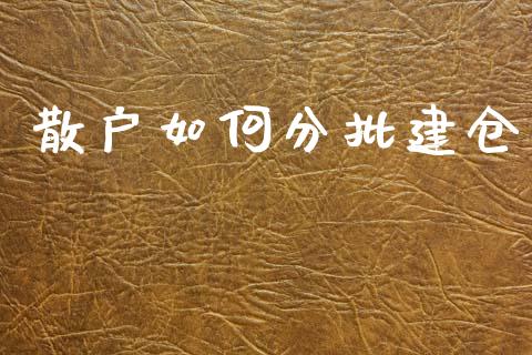 散户如何分批建仓_https://wap.lcjysmgs.com_债券基金_第1张