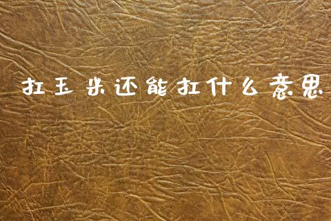 扛玉米还能扛什么意思_https://wap.lcjysmgs.com_金融交易_第1张