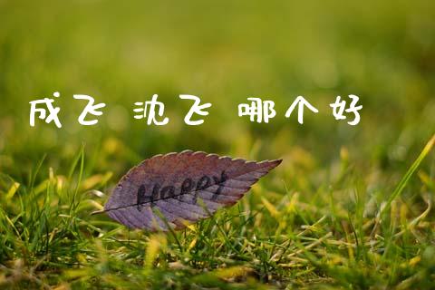 成飞 沈飞 哪个好_https://wap.lcjysmgs.com_债券基金_第1张