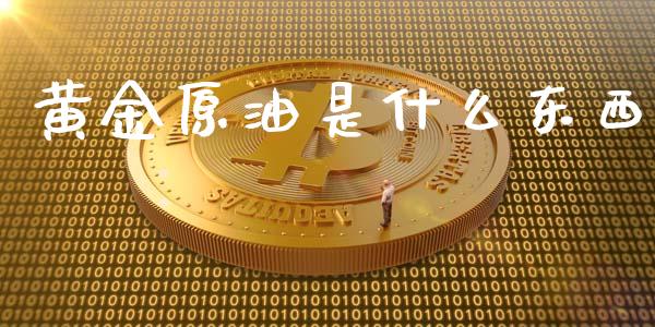 黄金原油是什么东西_https://wap.lcjysmgs.com_原油期货_第1张