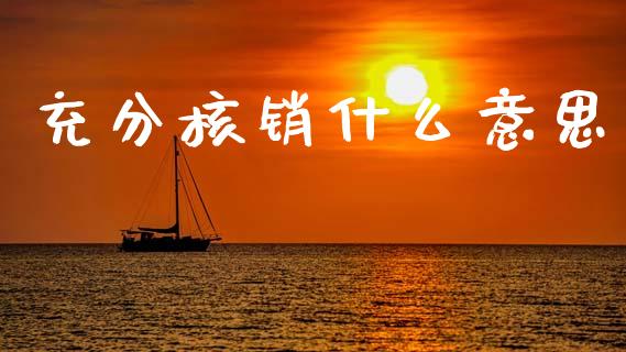 充分核销什么意思_https://wap.lcjysmgs.com_债券基金_第1张