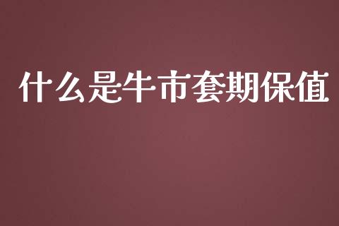 什么是牛市套期保值_https://wap.lcjysmgs.com_元宇宙_第1张