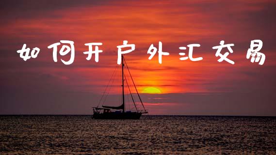 如何开户外汇交易_https://wap.lcjysmgs.com_债券基金_第1张