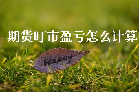 期货盯市盈亏怎么计算_https://wap.lcjysmgs.com_金融交易_第1张