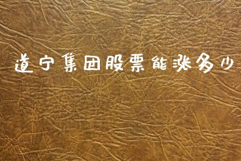 道宁集团股票能涨多少_https://wap.lcjysmgs.com_原油期货_第1张