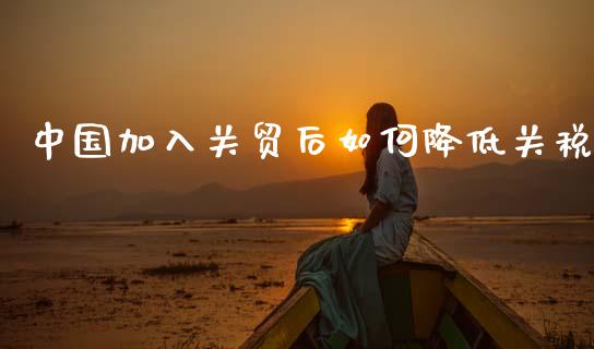 中国加入关贸后如何降低关税_https://wap.lcjysmgs.com_元宇宙_第1张