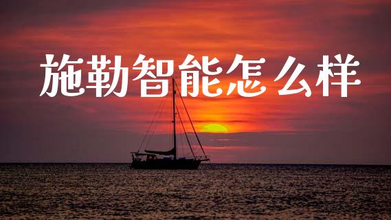 施勒智能怎么样_https://wap.lcjysmgs.com_原油期货_第1张
