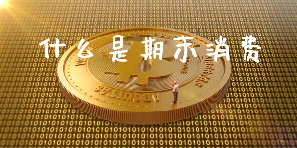 什么是期末消费_https://wap.lcjysmgs.com_元宇宙_第1张